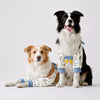 Boots, socks and protective gear collection banner