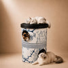 Moggold Cat Furniture collection banner