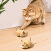 Cat Toys collection banner