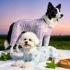 Moggold Clothing & Accessories collection banner