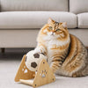 Toys & Play collection banner for pets