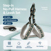 Small Dog Vest Harness for Walks