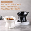Ceramic Angled Elevated Bowl for Cats and Dogs