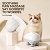 Electric Cat Massage Brush