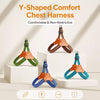 Vest-Style Dog Harness and Leash for Small to Medium Dogs