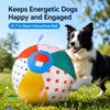 Oversized Fetch and Tug Toy Ball for Medium and Large Dogs