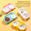 Ceramic Double Cat Bowl Set with Stand for Food & Water