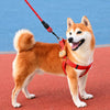 Adjustable Dog Harness Vest