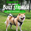 Adjustable Nylon Dog Harness with Leash