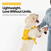 Lightweight Nylon Dog Harness and Leash Set