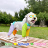 Nylon Four-Leg Dog Suit for Outdoor Walks and Outings