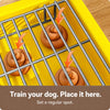 Dog Potty Training Tray with Grated Platform