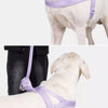 Nylon Dog Harness for Everyday Walks