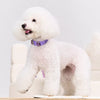 Faux Leather Collar with Gemstone-Inspired Detail for Dogs and Cats
