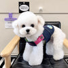 Denim-Style Nylon Harness and Leash for Cats and Small Dogs
