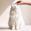 Stainless Steel Grooming Comb for Long-Haired Cats and Dogs