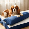 Memory Foam Pet Bed Pad for Small Dogs