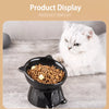 Ceramic Angled Elevated Bowl for Cats and Dogs