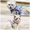 Adjustable Vest-Style Cat Harness with Flat Leash