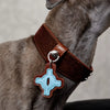 Faux Leather Collar for Small Dogs and Cats