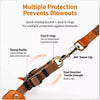 Vest-Style Dog Harness and Leash for Small to Medium Dogs