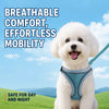 Double-Sided Detangling Comb for Long-Haired Dogs and Cats