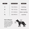 Lightweight Nylon Dog Harness and Leash Set