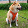 Adjustable Nylon Dog Harness with Leash