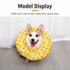 Soft Waterproof Recovery Collar for Dogs