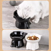 Ceramic Angled Elevated Bowl for Cats and Dogs