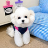 Denim-Style Nylon Harness and Leash for Cats and Small Dogs