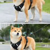 Vest-Style Dog Harness with Round Leash