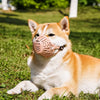 Soft Plastic Dog Muzzle with Breathable Mesh