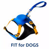 Nylon Dog Harness and Leash Set