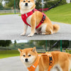 Vest-Style Dog Harness with Round Leash