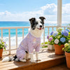 Mesh Four-Leg Dog Outfit