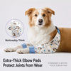 Cotton Dog Front Leg Cover Garment