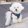 Adjustable Polyester Dog Harness for Everyday Walks | Moggold