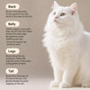 Stainless Steel Grooming Comb for Long-Haired Cats and Dogs