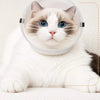 Clear Plastic Cat Cone for Grooming and Care