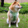 Adjustable Nylon Vest-Style Dog Harness with 59.1-Inch Leash