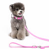 Faux Leather Collar with Gemstone-Inspired Detail for Dogs and Cats