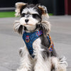 Dog Vest Harness and Leash