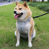 Adjustable Nylon Dog Harness with Leash
