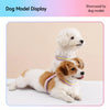 Y-Shaped Dog Harness for Small to Medium Dogs