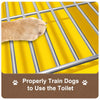 Dog Potty Training Tray with Grated Platform