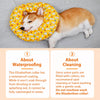 Soft Waterproof Recovery Collar for Dogs
