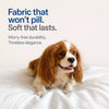 Memory Foam Pet Bed Pad for Small Dogs