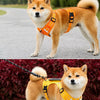 Vest-Style Dog Harness with Round Leash