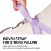 Nylon Dog Harness for Everyday Walks